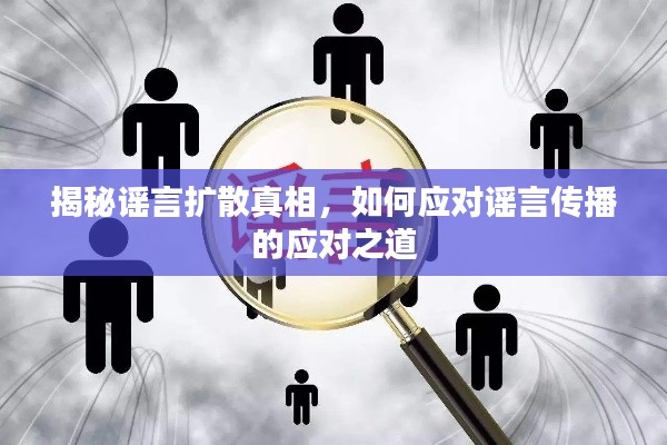 揭秘谣言扩散真相,如何应对谣言传播的应对之道