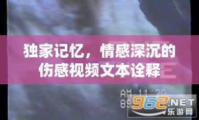 独家记忆，情感深沉的伤感视频文本诠释