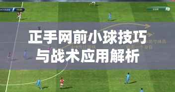 正手网前小球技巧与战术应用解析