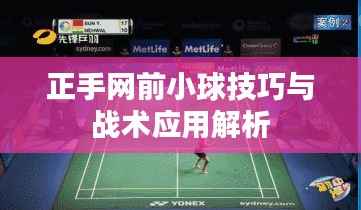 正手网前小球技巧与战术应用解析