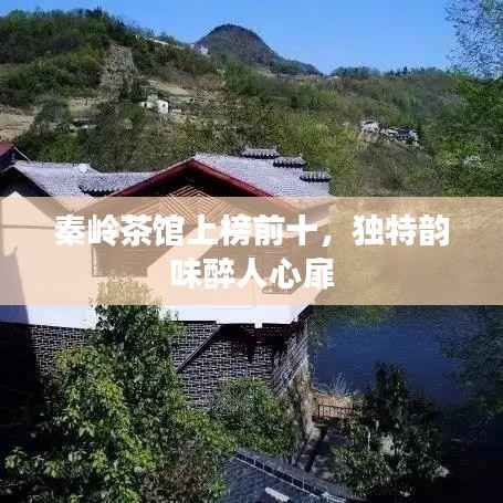秦岭茶馆上榜前十，独特韵味醉人心扉