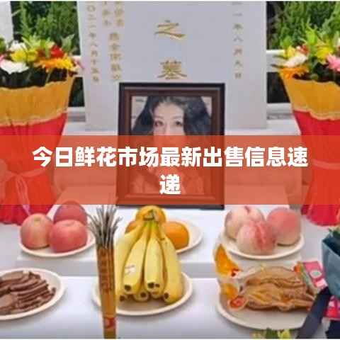今日鲜花市场最新出售信息速递