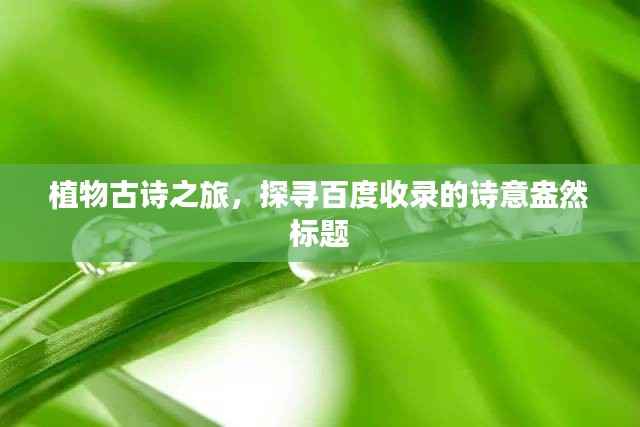 植物古诗之旅,探寻百度收录的诗意盎然标题