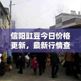 信阳豇豆今日价格更新,最新行情查询