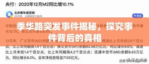 销声匿迹 第4页