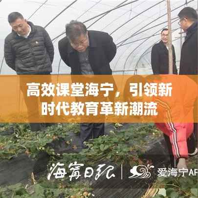 高效课堂海宁,引领新时代教育革新潮流