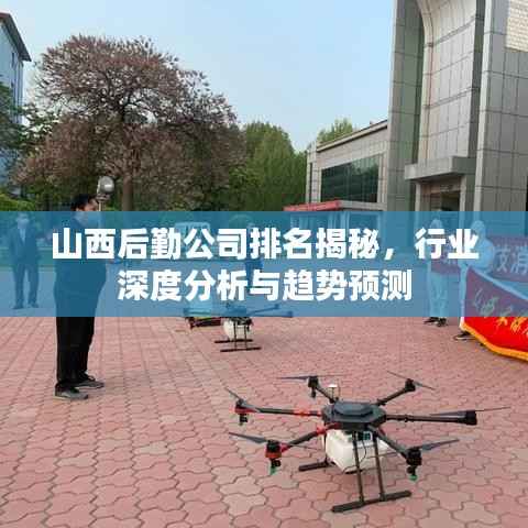 山西后勤公司排名揭秘，行业深度分析与趋势预测