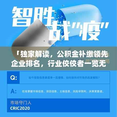 「独家解读,公积金补缴领先企业排名,行业佼佼者一览无遗」