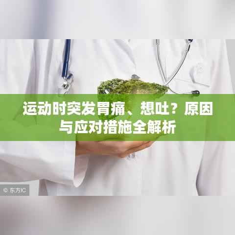 运动时突发胃痛、想吐？原因与应对措施全解析