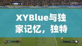 XYBlue与独家记忆,独特之旅,感人篇章