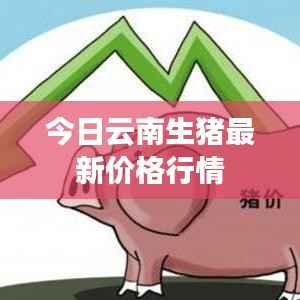 今日云南生猪最新价格行情