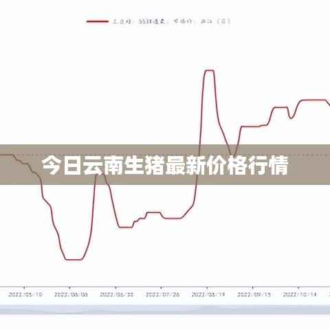 今日云南生猪最新价格行情