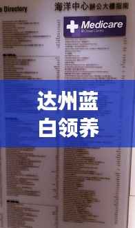 达州蓝白领养政策解读,最新文件详解