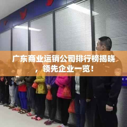 广东商业运销公司排行榜揭晓，领先企业一览！
