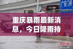 重庆暴雨最新消息,今日降雨持续,城市动态一网打尽