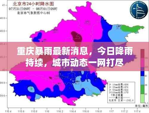 重庆暴雨最新消息,今日降雨持续,城市动态一网打尽