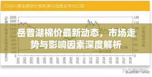 岳普湖棉价最新动态，市场走势与影响因素深度解析