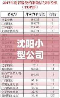 沈阳小型公司排名揭晓，热门企业榜单不容错过！