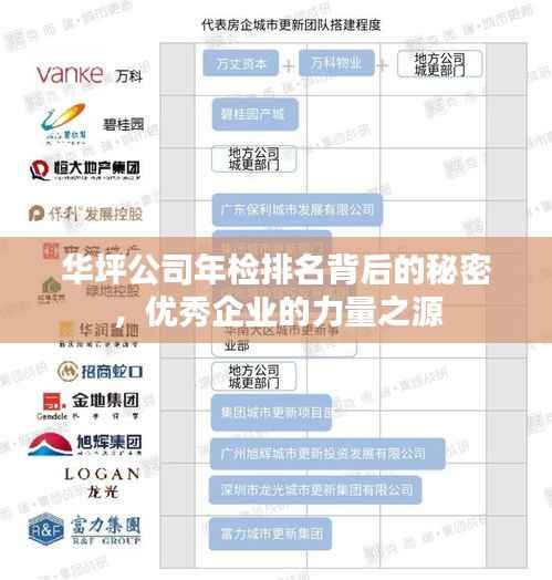 华坪公司年检排名背后的秘密,优秀企业的力量之源