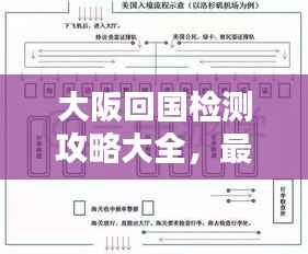 大阪回国检测攻略大全，最新指南助你顺利入境