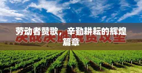 劳动者赞歌，辛勤耕耘的辉煌篇章