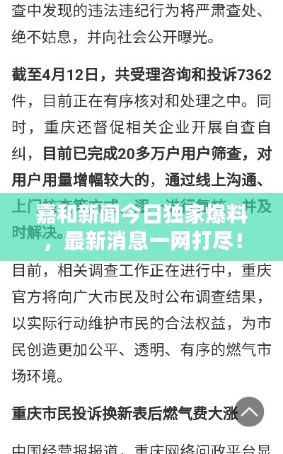 嘉和新闻今日独家爆料，最新消息一网打尽！