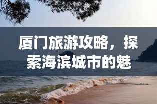 厦门旅游攻略,探索海滨城市的魅力随拍之旅