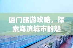 厦门旅游攻略,探索海滨城市的魅力随拍之旅