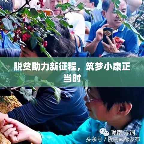 脱贫助力新征程，筑梦小康正当时