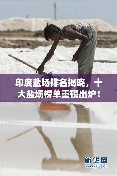 印度盐场排名揭晓,十大盐场榜单重磅出炉!