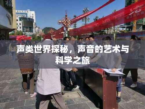 声类世界探秘,声音的艺术与科学之旅