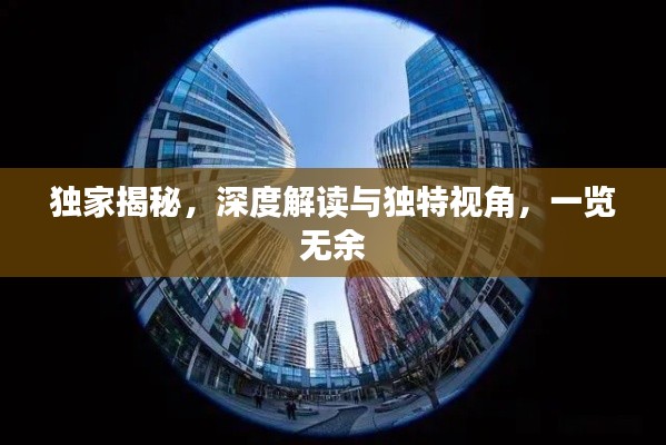独家揭秘,深度解读与独特视角,一览无余