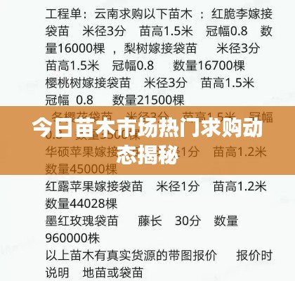 灰飞湮灭 第4页