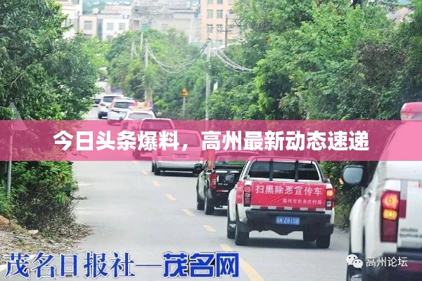 今日头条爆料,高州最新动态速递