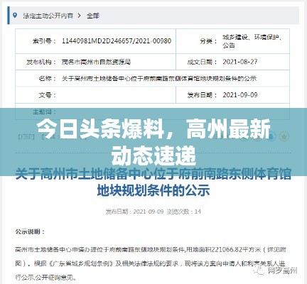 今日头条爆料,高州最新动态速递
