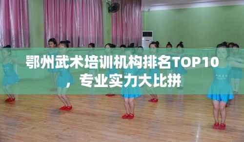 鄂州武术培训机构排名TOP10，专业实力大比拼