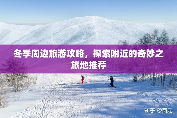 神采奕奕 第3页