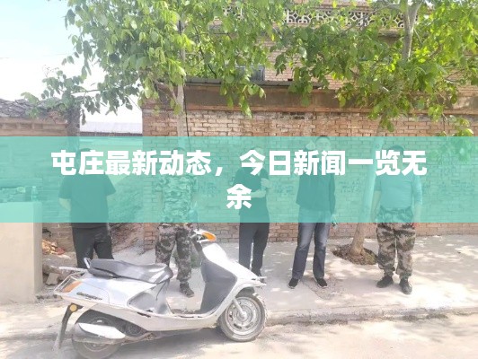 屯庄最新动态，今日新闻一览无余