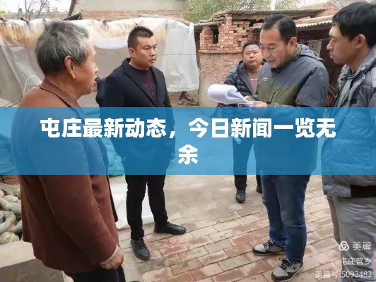 屯庄最新动态,今日新闻一览无余