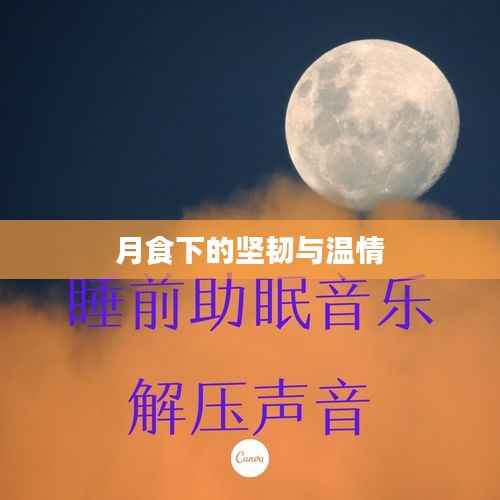 月食下的坚韧与温情