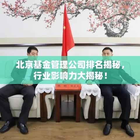 北京基金管理公司排名揭秘,行业影响力大揭秘!