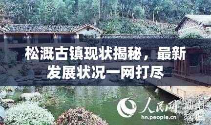 沉灶产蛙 第3页