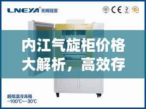 内江气旋柜价格大解析,高效存储,实惠之选!