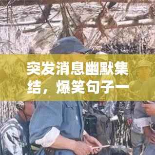 突发消息幽默集结,爆笑句子一网打尽