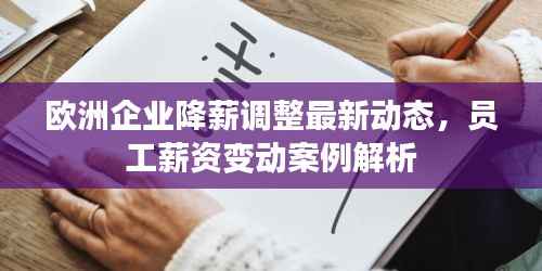 欧洲企业降薪调整最新动态,员工薪资变动案例解析