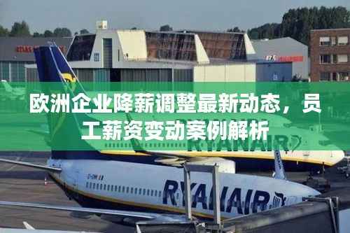 欧洲企业降薪调整最新动态,员工薪资变动案例解析