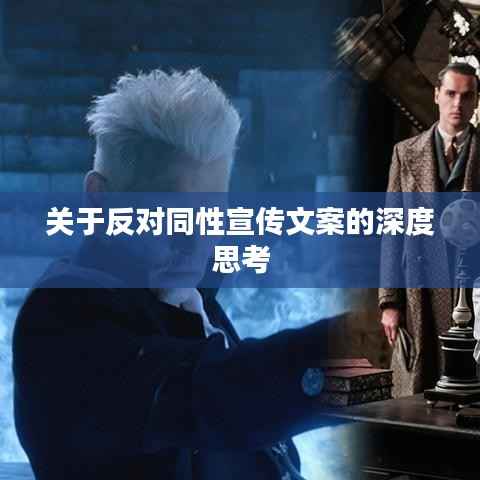 关于反对同性宣传文案的深度思考