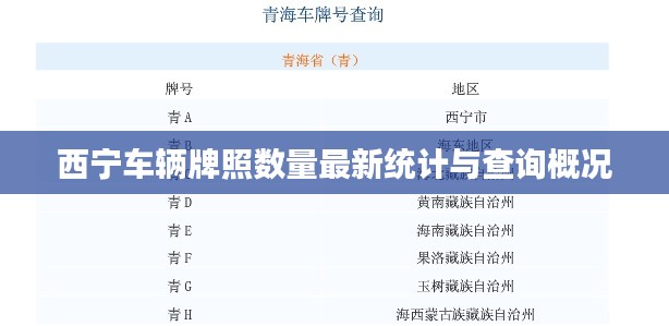 西宁车辆牌照数量最新统计与查询概况