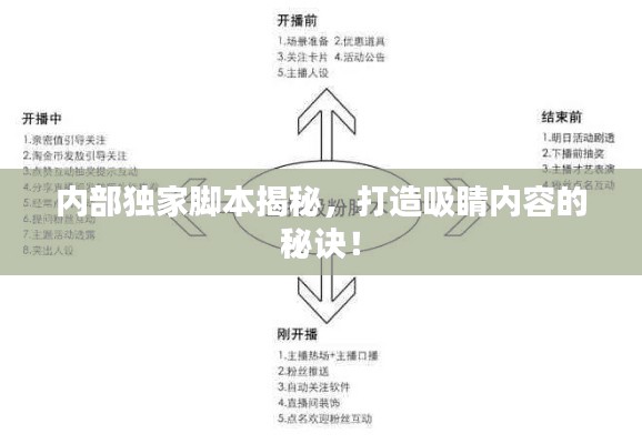 内部独家脚本揭秘，打造吸睛内容的秘诀！