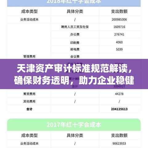 天津资产审计标准规范解读，确保财务透明，助力企业稳健发展